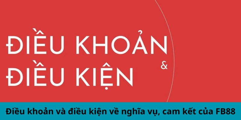 Điều khoản và điều kiện về nghĩa vụ, cam kết của FB88